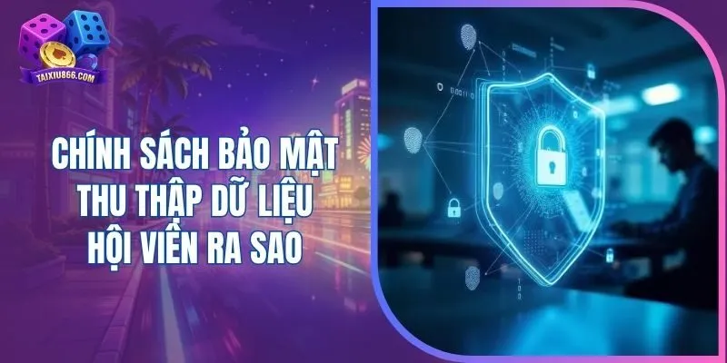 Chính sách bảo mật thu thập dữ liệu hội viên ra sao