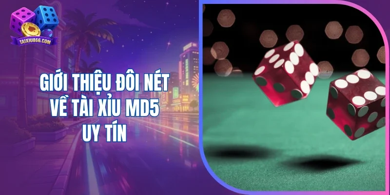Giới thiệu đôi nét về tài xỉu MD5 uy tín