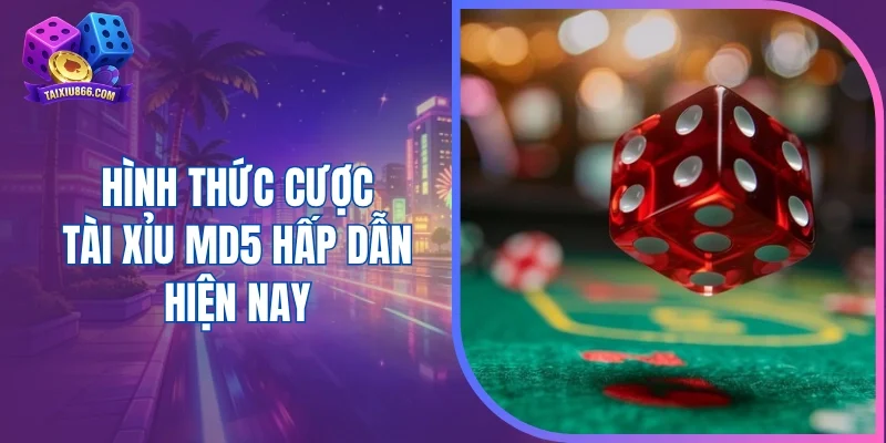 Hình thức cược tài xỉu MD5 hấp dẫn hiện nay