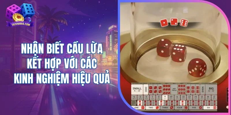 Nhận biết cầu lừa kết hợp với các kinh nghiệm hiệu quả