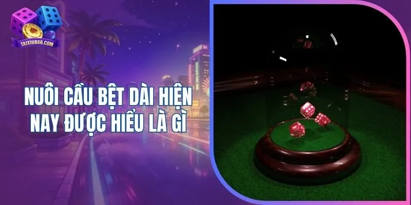 Nuôi cầu bệt dài hiện nay được hiểu là gì