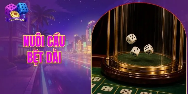 nuôi cầu bệt dài